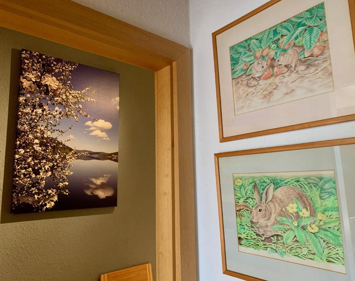 Studio Hase Saig Exteriör bild