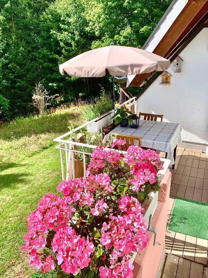 Studio Hase Saig Exteriör bild